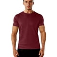 thumbnail image 4 of YLSDY Men's Quick Dry Ribbed T-Shirts Basic Solid Color Crew Neck Short Sleeve Tees Wine S, 4 of 5