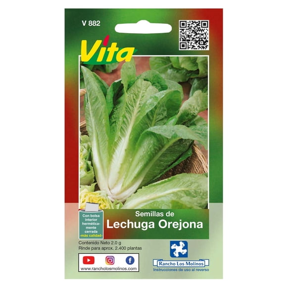 Semillas Lechuga Orejona Vita