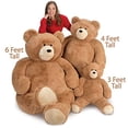 thumbnail image 4 of Vermont Teddy Bear Giant Stuffed Animals - Life Size Teddy Bear, 6 Foot, 4 of 5