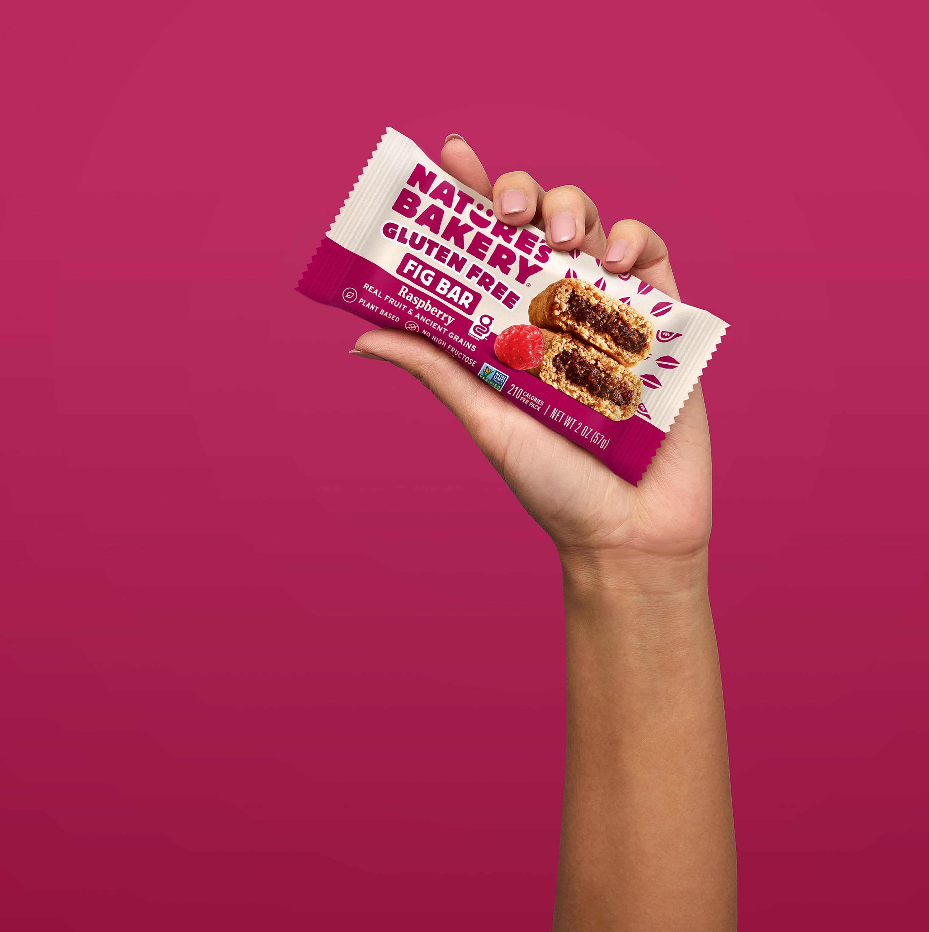 Nature's Bakery Gluten Free Raspberry, 2 oz Snack Bars (36 Ct), Vegan, Non-GMO, Plant-Based