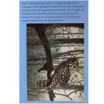 thumbnail image 4 of Gift Essentials Puzzles for Adults Spirit of the Forest Owl 1000 Piece Jigsaw Puzzle, 4 of 7