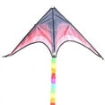 thumbnail image 6 of FNNMNNR 1PC Large Delta Kite For Kids And Adults Single Line Easy To Fly Kite Handle Include, 6 of 6