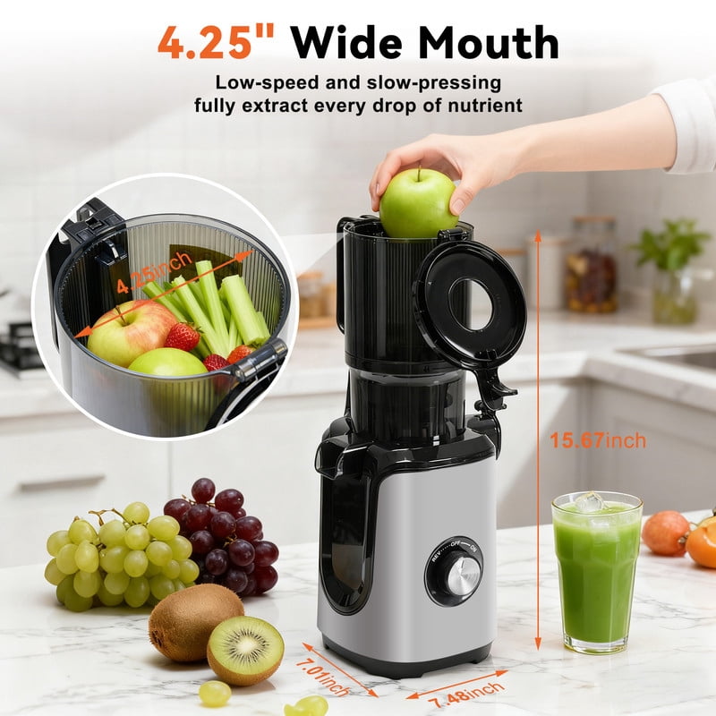 Gianna Cold Press Juicer, Masticating Juicer Machines with Wide Feed Chute, High Juice Yield and Easy to Clean for Whole Vegetables & Fruits, Silver
