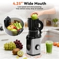 thumbnail image 3 of Gianna Cold Press Juicer, Masticating Juicer Machines with Wide Feed Chute, High Juice Yield and Easy to Clean for Whole Vegetables & Fruits, Silver, 3 of 7