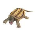 thumbnail image 2 of Figurine de Tortue Serrante Réaliste Jouet Éducatif Précoce Modèle Collection Maison, 2 of 8