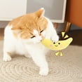 thumbnail image 3 of Fruit Vegetable Squeaky Dog Toy for Interactive Play and Health with Refillable PP Filling, 3 of 4