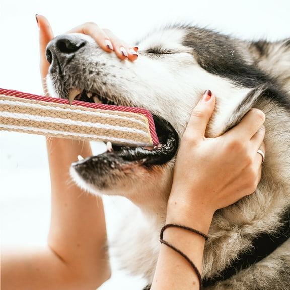 GOOHOCHY  Pet Molar Pillow Toy Padded Biting Sleeve Dog Rope Chew Toys