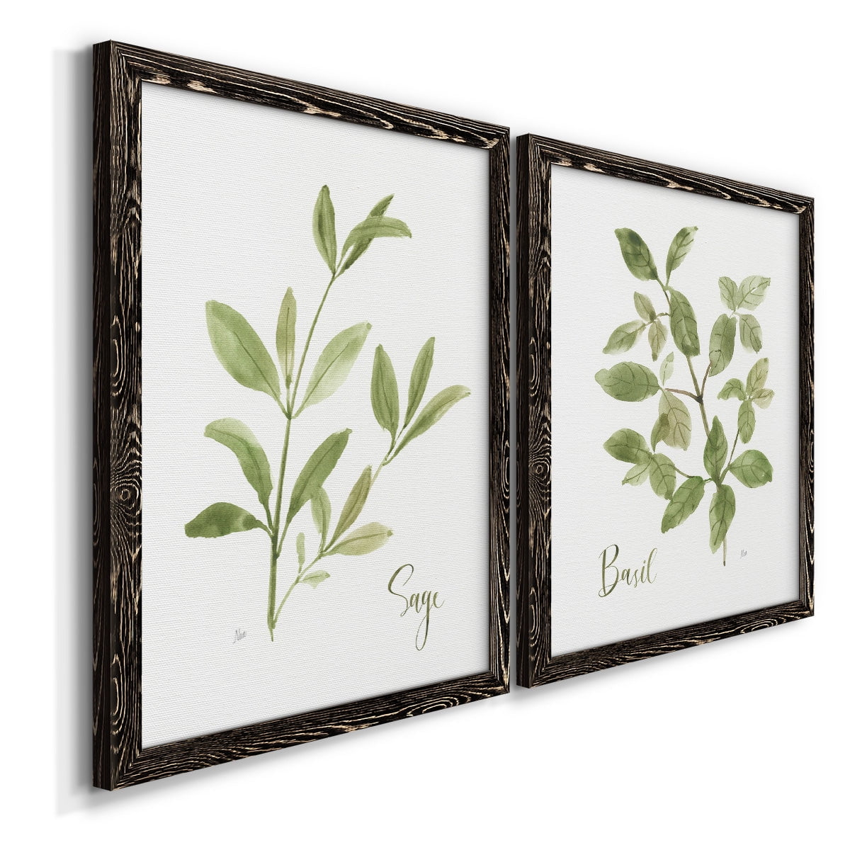 Herb Sage - Premium Framed Canvas 2 Piece Set - Ready to Hang