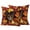 Orange Gold Red, variant on Spring Floral Outdoor Pillow Covers 18"x18" Set of 2,Waterproof Throw Pillow Covers for Patio Furniture,Watercolor Botanical Colorful Summer Decorative Cushion Pillowcases for Garden Porch Couch Sofa