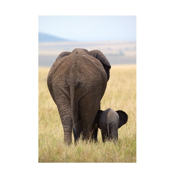 Alejandro Metzger 'Were Gone' Canvas Art