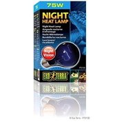 Exo-Terra Night Heat Lamp 75 Watts - A19