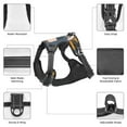 thumbnail image 6 of Picia Llama and Cactus No-Pull Dog Harness Reflective Front Clip Vest with Handle,Step-in Air Dog Harness,Adjustable 2 Metal Rings 4 Buckles,Easy to Put on & Take Off Large, 6 of 9