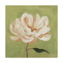 Trademark Fine Art 'Peony on Olive II' Canvas Art by Emma Scarvey
