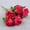 rose red, variant on 6 Peonies Simulation Flowers, Home And Living Room Artificial Flower Decorations, Dining Table Dried Flower Bouquet Decoration