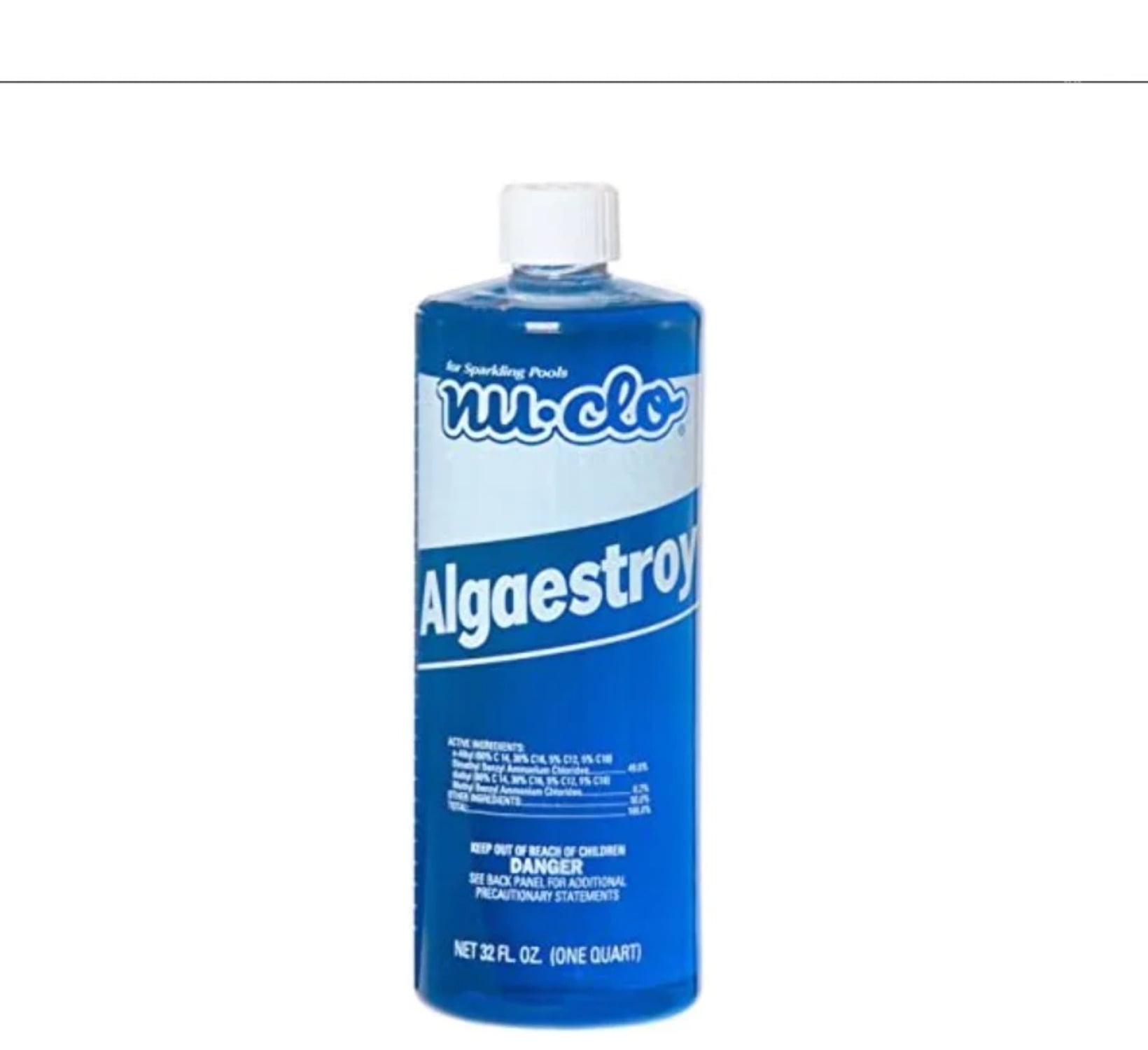 Algaestroy 50 Quart Algaecide for Swimming Pools NuClo 2025