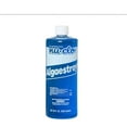 Algaestroy 50 Quart Algaecide for Swimming Pools NuClo 2025