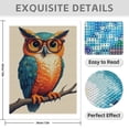thumbnail image 3 of Diamond Art Kit for Adults, Colorful Owl Wearing Glasses Diamond Painting for Adults Beginners, DIY Diamond Art Painting Kits, 5D Diamond Painting Crafts for Home Decor 12x16 Frameless, 3 of 7