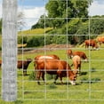 thumbnail image 7 of Riedhoff Farm Fence Panel 5 ft x 164 ft, Galvanized Wire Fencing, Silver, 7 of 7