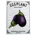Eggplant Seeds for Planting STF9 Black Beauty Variety (1g Packet