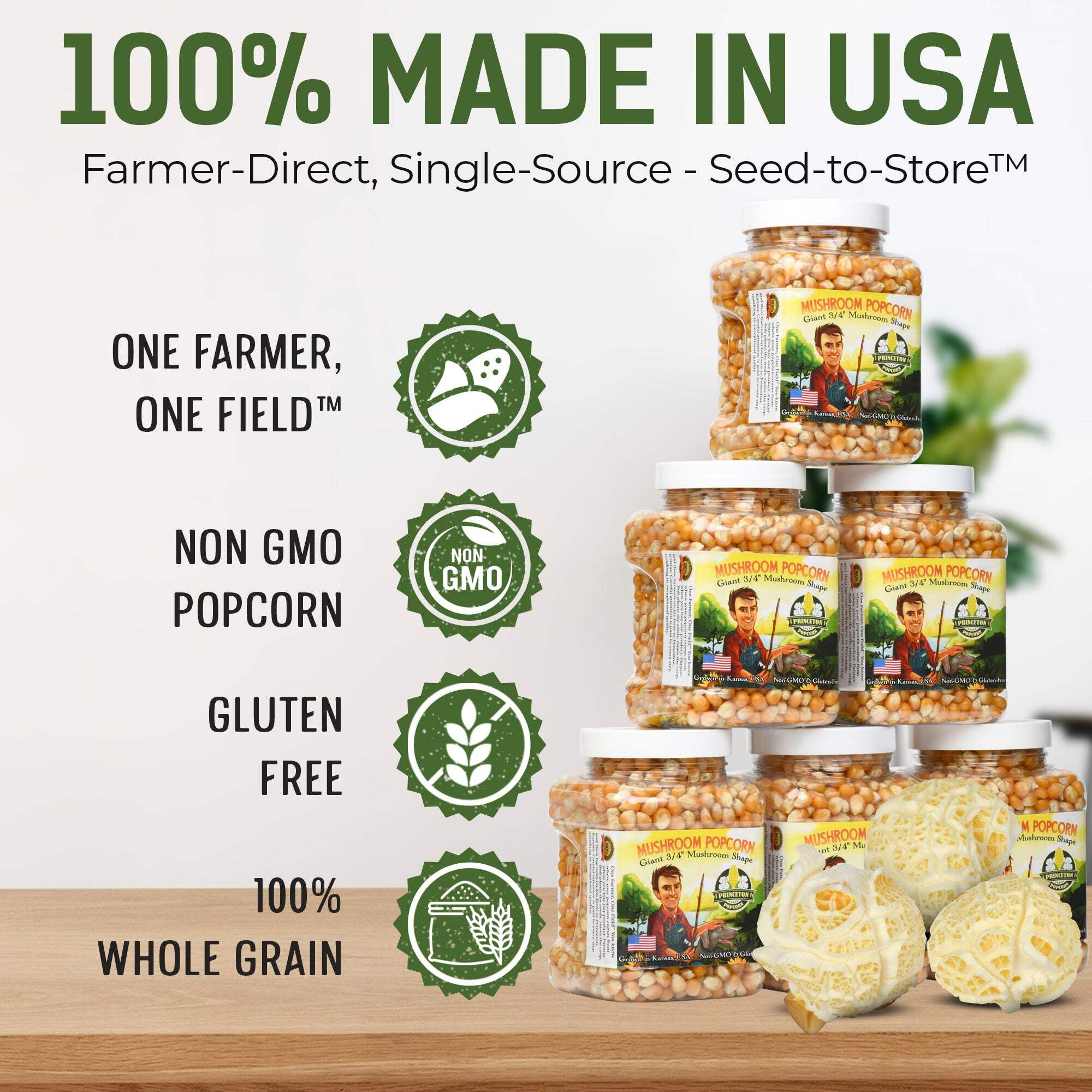 Six 1lb Tubs of Mushroom Popcorn Kernels by Princeton Popcorn Farm Grown, Non GMO, Gluten Free UnPopped, Ball Shaped, Old Fashion Popcorn Pops Extra Large, Popping Corn for Air Popper & Stovetop 96oz