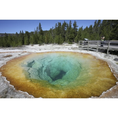 Morning Glory Pool Morning Glory Pool Hot Spring Upper Geyser Basin geothermal area Yellowstone National Park Canvas Art - Richard RoscoeStocktrek Images (35 x 23) ()