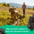 thumbnail image 2 of Zuke’s Hip And Joint Dog Treats, Soft And Chewy Natural Bag Of Treats With Hip And Joint Support, Beef Recipe, 2 of 9
