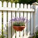 thumbnail image 5 of Maceta Colgante para Plantas de Interior y Exterior: Maceta de Plástico con Cadena para Decoración de Paredes o Vallas y Cultivo Aéreo., 5 of 7