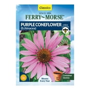 Ferry-Morse 170MG Purple Coneflower (Echinacea) Perennial Flower Seeds Full Sun