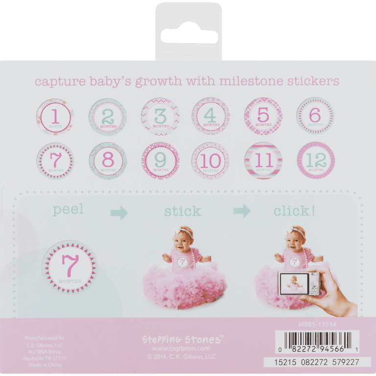 CR Gibson Baby's First Year Milestone Blanket And Prop Kit Little Dreamer