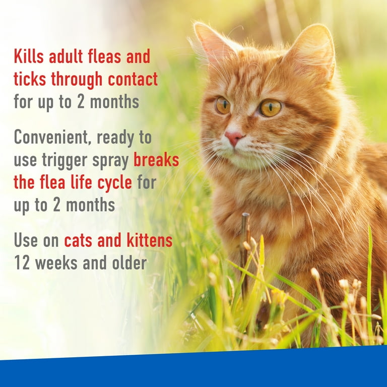 Flea spray for cats walmart sales