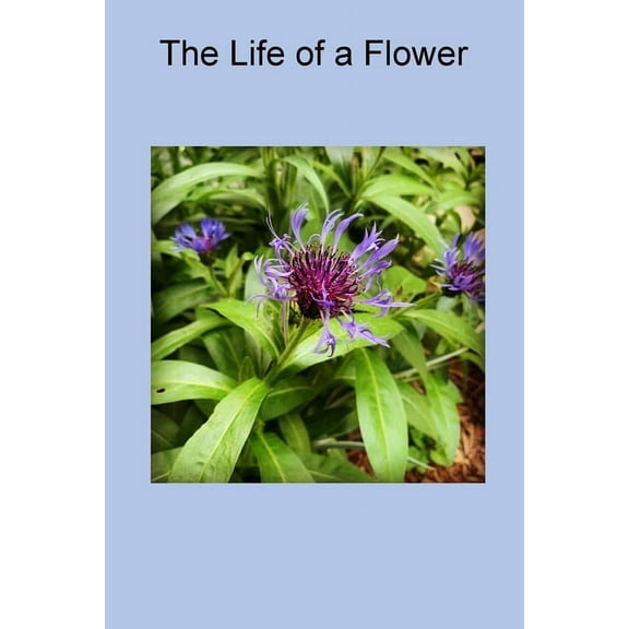 The Life of a Flower, (Paperback)