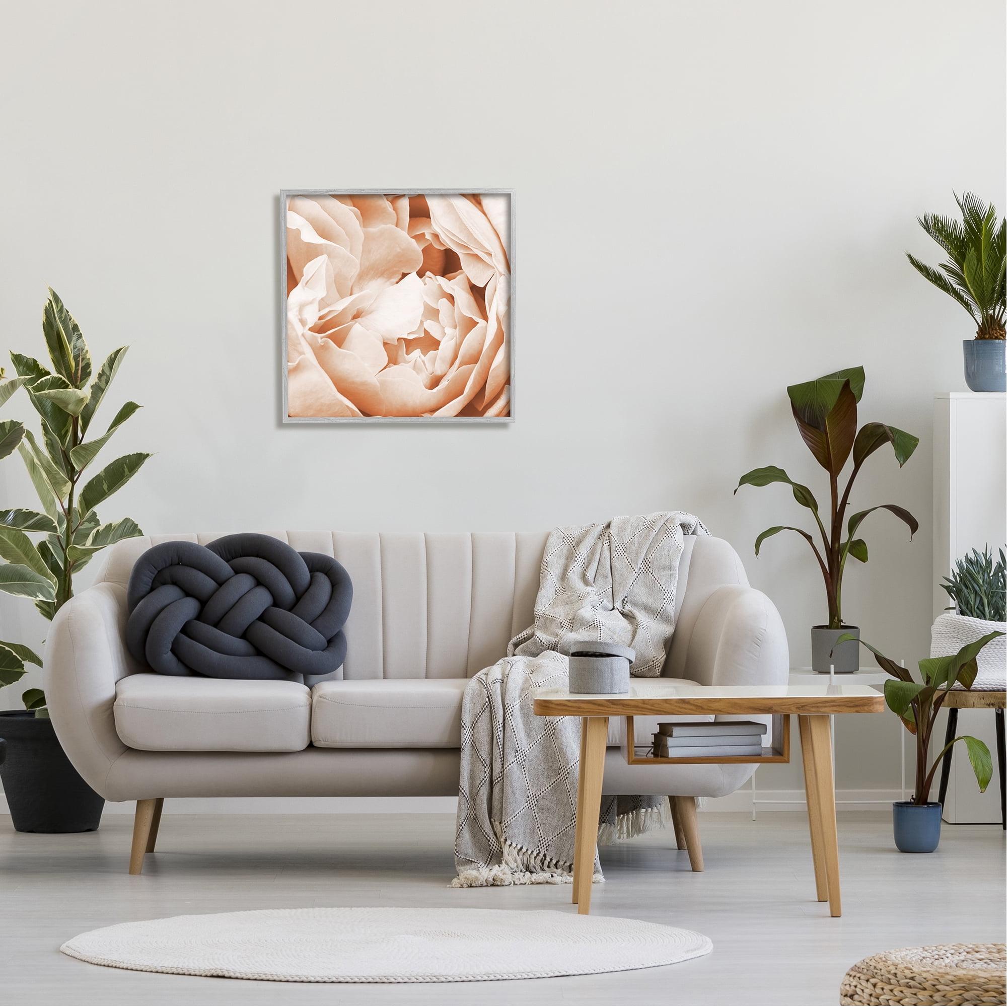 Stupell Industries Pastel Pink Peony Petals Botanical & Floral Photography Gray Framed Art Print Wall Art, 24 x 24