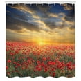 thumbnail image 3 of Ambesonne Poppy Flower Shower Curtain, Scenic Field Sunset, 69"Wx84"L, Multicolor, 3 of 3