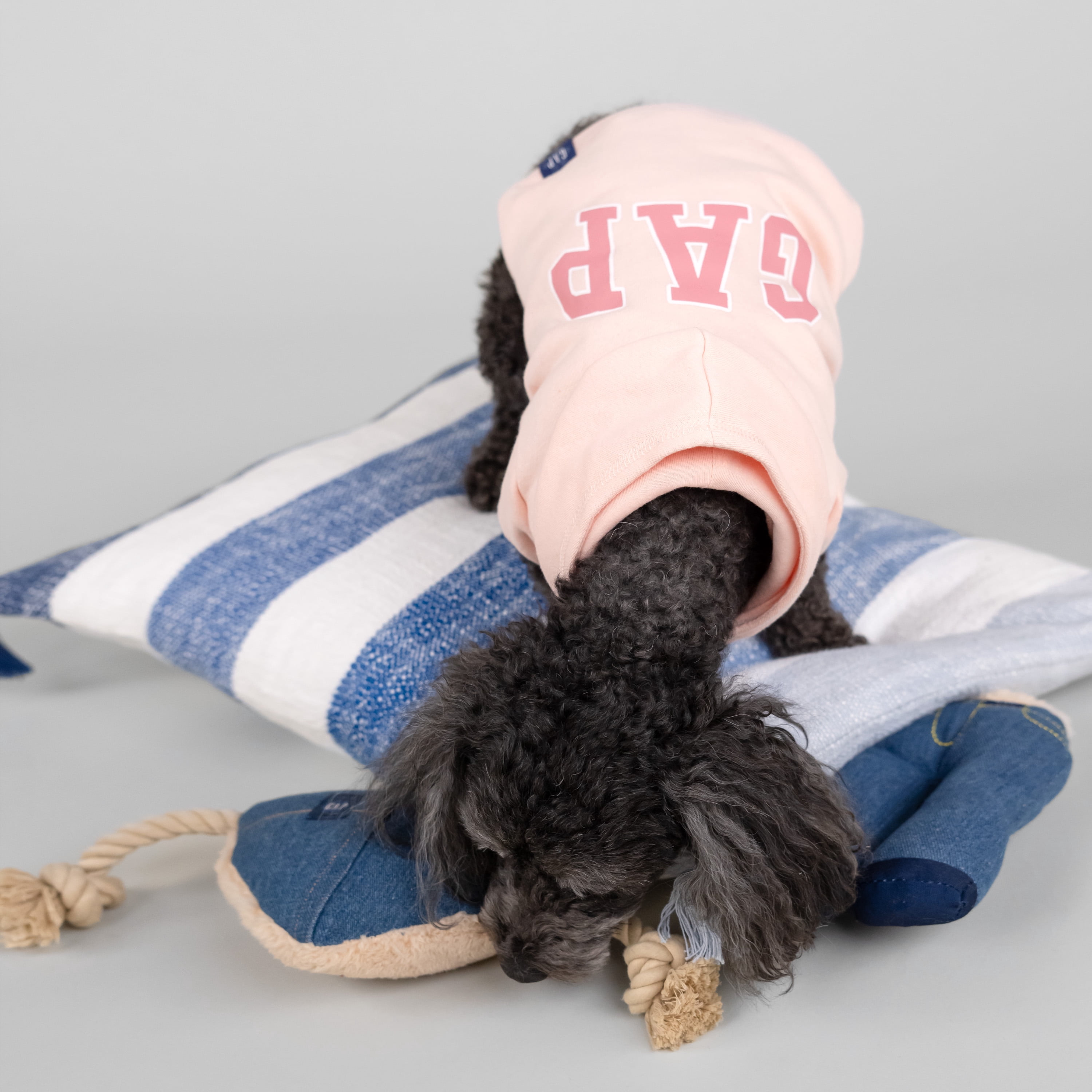 Gap Pet Dog and Cat Clothes, Classic Gap Logo Pet Hoodie, Pink