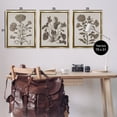 thumbnail image 4 of Stupell Industries Vintage Country Botanicals Plants & Flowers Painting Gold Floater Framed Canvas Art Print Wall Art, 25 x 31, Set of 3, 4 of 10