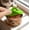 Green, variant on 3 In 1 Food Grade Silicone Pet Can, Lid BPA Free, Airtight Moisture Proof, Reusable Cat Dog Canned Food Storage Cover, Elastic Seal Can Cap, 1Pc