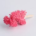 thumbnail image 4 of Coofit Artificial Succulent Creative Fake Succulent Artificial Plant for Home Decor, 4 of 10