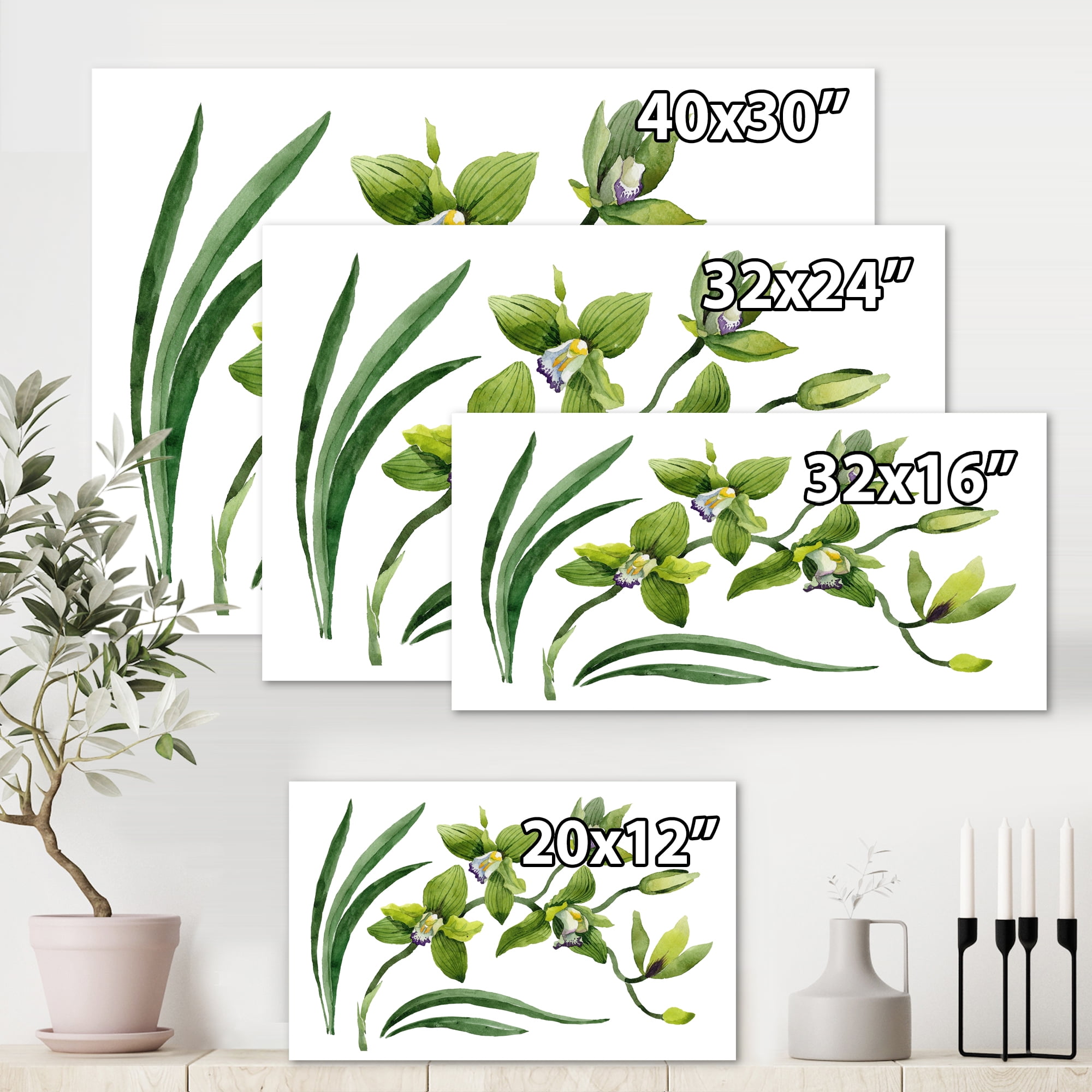 Designart ' Green Orchid Flowers On White ' Traditional Canvas Wall Art Print