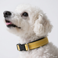 thumbnail image 4 of Reflective Dog Collar, Soft Neoprene Padded Nylon, Adjustable, Easy Quick-Release Buckle, Red, XL, for Dogs & Cats Daily Walks, 4 of 5