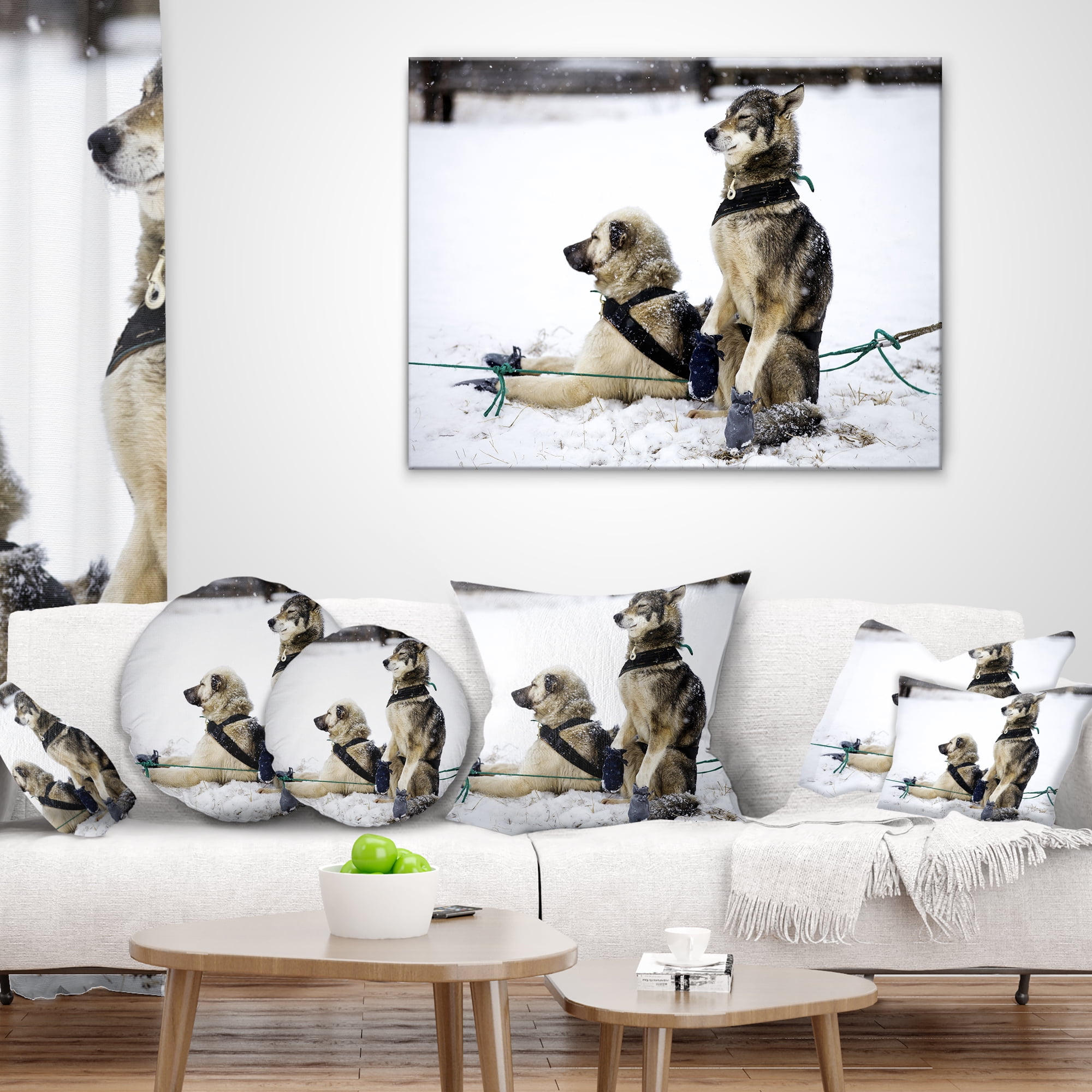 Designart Large Sled Dogs Relaxing - Animal Throw Pillow - 18x18