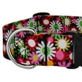 thumbnail image 5 of Country Brook Petz® 1 1/2 inch Deluxe Daisy Fields Dog Collar, Large, 5 of 5