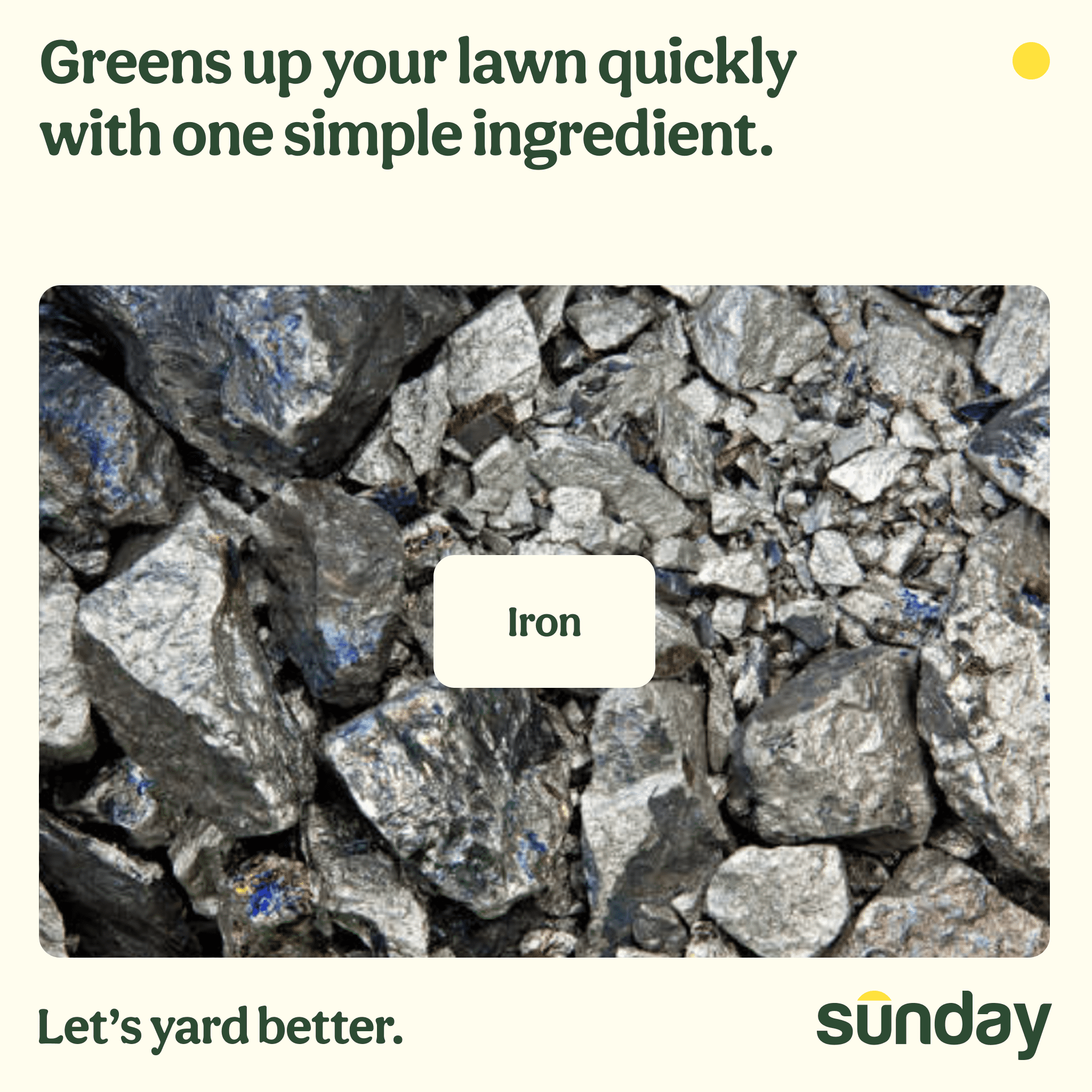 Sunday Weed & Green 5-in-1 Pre-Emergent and Post-Emergent Lawn Weed Killer, 1,250 Sq ft, 32 fl oz