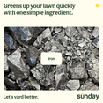 thumbnail image 3 of Sunday Weed & Green 5-in-1 Pre-Emergent and Post-Emergent Lawn Weed Killer, 1,250 Sq ft, 32 fl oz, 3 of 7