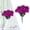 C, variant on Clearance Under $1 Artificial Carnation Pick 7-Fork Carnation Spray For Living Room Vase Filler,Plastic White (1Pc)