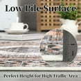 thumbnail image 4 of Hasoo Area Rug 5' x 7' Vintage Distressed Medallion Floral Area Rug for Living Room Washable Soft Indoor Floor Carpet, Light Orange, 4 of 7