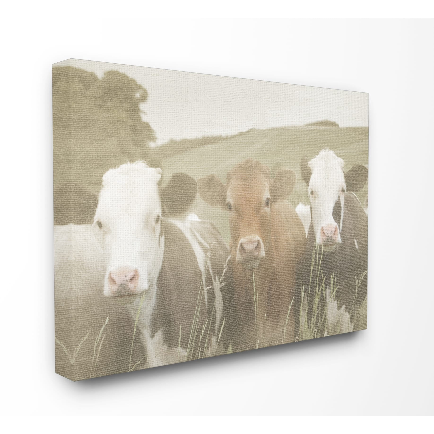 The Stupell Home Decor Collection Happy Neighbors Cows in the Field Oversized Stretched Canvas Wall Art, 24 x 1.5 x 30
