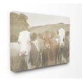 thumbnail image 5 of The Stupell Home Decor Collection Happy Neighbors Cows in the Field Stretched Canvas Wall Art, 16 x 1.5 x 20, 5 of 5