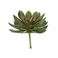 thumbnail image 3 of Vickerman FO195006 Assortiment de Choix Succulents Verts de 6 Po - Pack de 3, 3 of 6