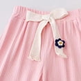 thumbnail image 4 of XinLfly 2PC Girls Ice Silk Loose Straight Trouser Elastic Waist Pants Casual Wide Leg Solid Color Long Trouser,1PC Pink+1PC Gray,5T, 4 of 6