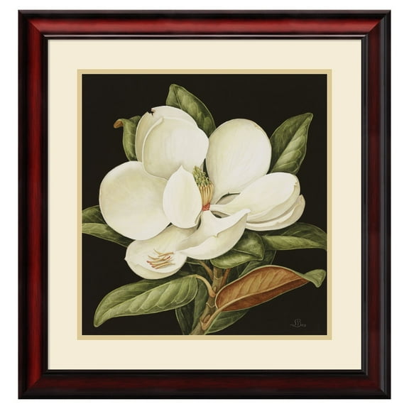 Amanti Art Dsw2971691 25-3/8" X 24-3/8" "Magnolia Grandiflora, 2003" Framed Art Print On